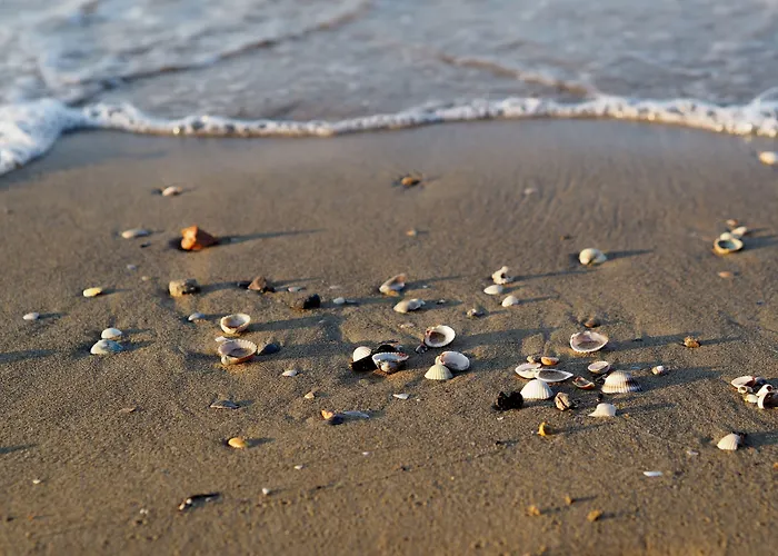 Lejlighed Cozy With Swimming Pool And Fireplace *